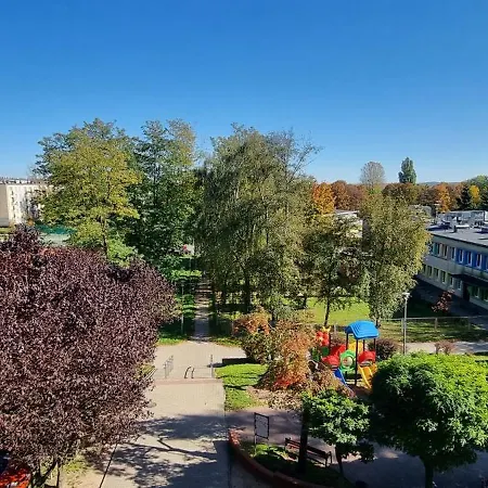 66 Mrowka * Częstochowa