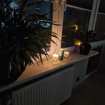 66 Mrowka Apartament *