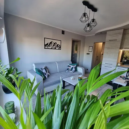 Apartament 66 Mrowka *