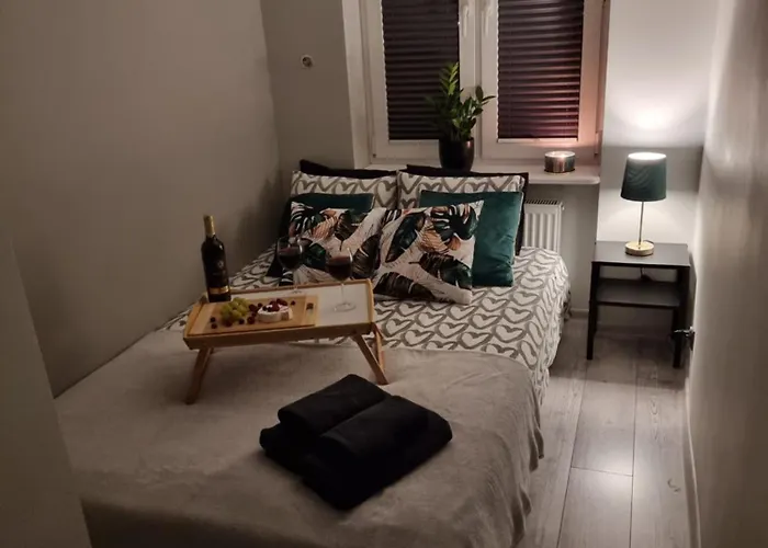 דירה 66 Mrowka *