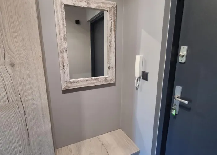 66 Mrowka צ'סטוצ'ובה