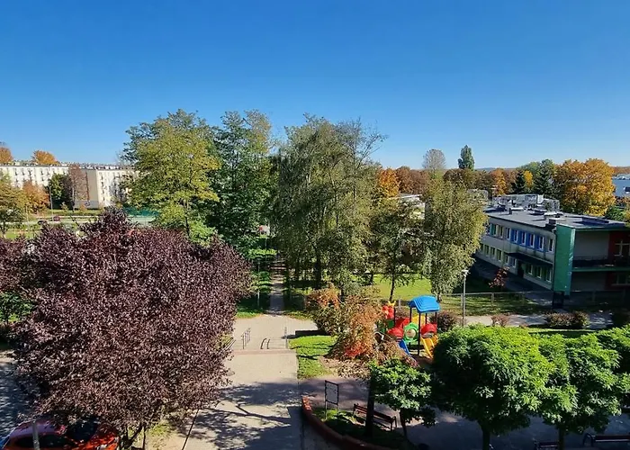 66 Mrowka * צ'סטוצ'ובה