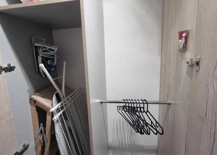 66 Mrowka צ'סטוצ'ובה