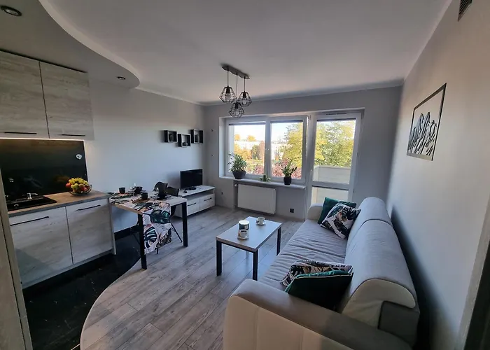 66 Mrowka * צ'סטוצ'ובה