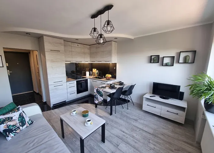 66 Mrowka Częstochowa