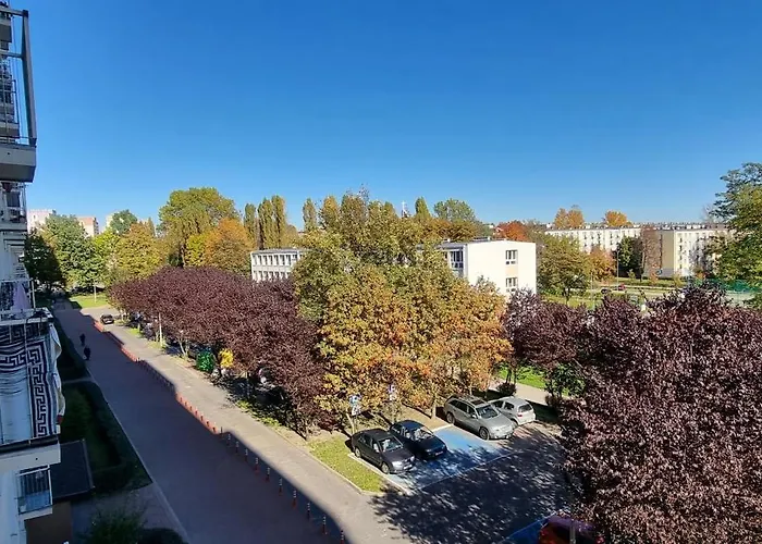 66 Mrowka * צ'סטוצ'ובה