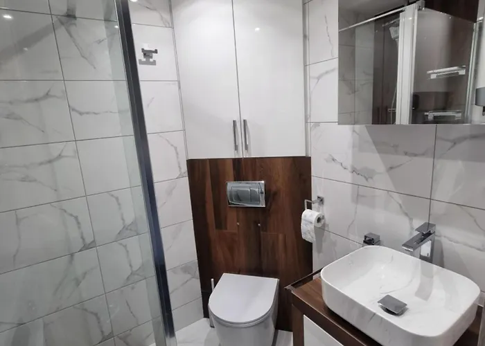 66 Mrowka צ'סטוצ'ובה